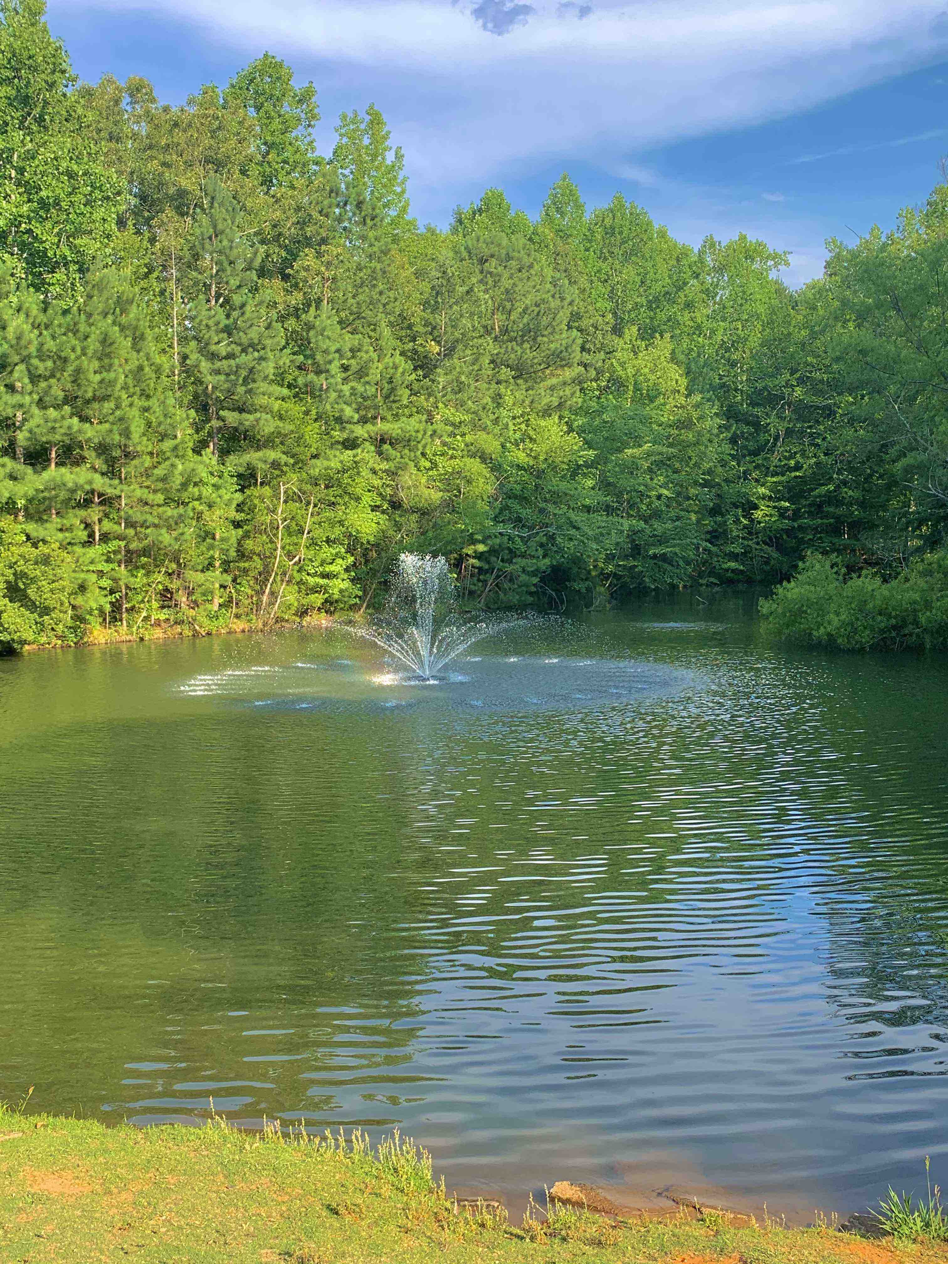 A fountain in the middle of a lake. The lake is surrounded by trees.